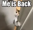 me is back