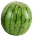 rtx melon