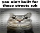 Youaintbuiltforthesestreetscuh