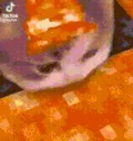 Gatinho Tomando Lava