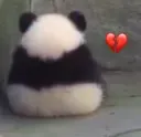 panda sad