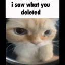 What you deleted