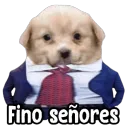 Fino señores