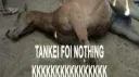 tankei foi nothing