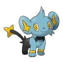 Shinx