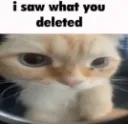 i saw what you deleted