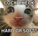 Cock Check!!