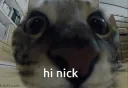 hi nick