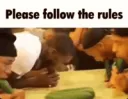 rules_Homies18
