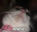 Pathetic