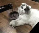 need me a drink