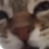 аа