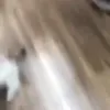 аа