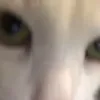 ага