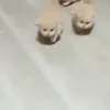 атакуем