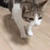 афигеть