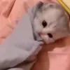 доброе утро