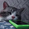 жду
