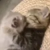 засос