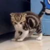 злюсь