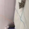 ложись