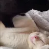 массаж