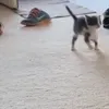пьяный
