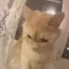 не трогай