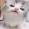 ну пожалуйста