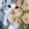 омном