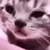 за что