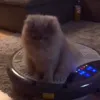 прыг