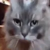 туда