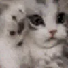 уии
