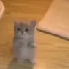 ура