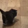 ухожу