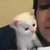 чмок
