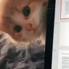 что