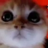 мда