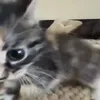 что