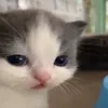 эм