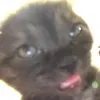 эээ