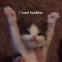 boooobieeee