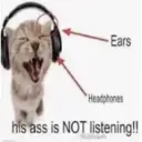 HIS ASS IS NOT LISTENING!