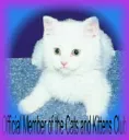 Cats and Kittens Club