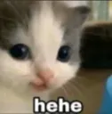 hehe
