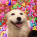DogHearts