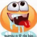 Sumiu @ da bio