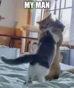 my man