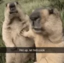 let him COOK